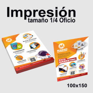 Flyers publicitarios 10 x 15 cm